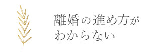 離婚の進め方がわからない