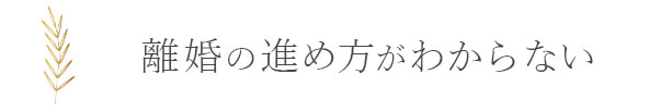 離婚の進め方がわからない